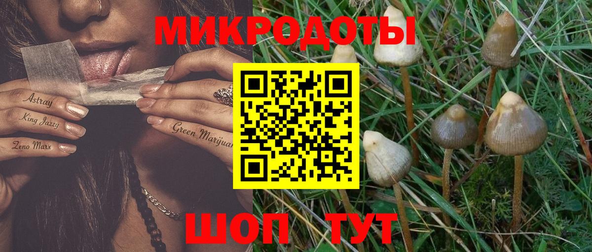 Псилоцибиновые грибы Psilocybe Волгодонск