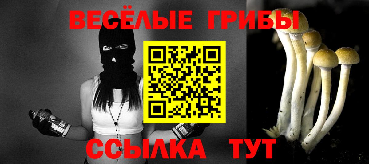 Волгодонск  Галлюциногенные грибы мухоморы  наркошоп  Вход с VPN 